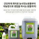 이광윤농장 | 미르팜 카르베토양미생물비료 가 좋은이유 ?? 발효몰약이 았가 때문 딸기맛이 좋습니다 대박 입니다 !!