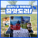 강정고령보 만남의광장 | 대구 강정보 디아크ㅣ피크닉 하기 좋은 곳ㅣ핫앤쿡 피크닉ㅣ피크닉 라면 추천🍜