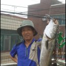 들물민박 티스토리