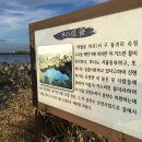 월영사
