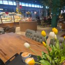 용인숲요양원 | 용인 스프링사운즈 계곡뷰카페에서 커피한잔