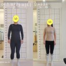 영스필라피티