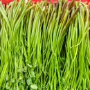 토러스농장 이미지