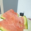 제이엘 마켓탑 이미지