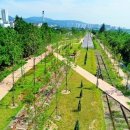 [울산광역매일]울산, 녹색ㆍ친환경 도시…국내외에서 인정 이미지