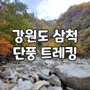 금봉이용소 | 강원도 삼척 석개재&amp;덕풍계곡 가을 단풍 트레킹 시즌여행 승우여행사 산골밥상 청국장 맛집