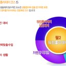 에이스필 이미지