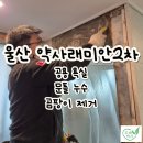 양산공용복지센터 1층 | 울산 중구 약사래미안2차 - 공용욕실 문틀 누수 / 곰팡이제거 시공