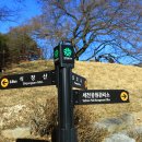 식장산 숲길 이미지