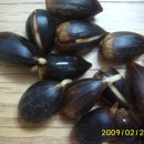 구실농장 이미지