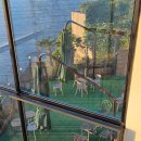 [영광/레드힐 카페]내돈내산: 영광 오션뷰 포토존이 있는 해안도로 카페 추천