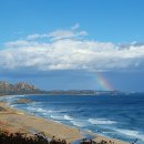 노세노세 이미지