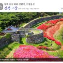 꽃길만걷자6 이미지