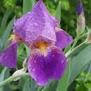 고운 농장 이미지