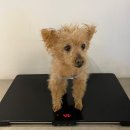 가양동물의료센터 이미지