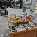 나이스안경콘택트 이미지