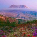 내가만약 이미지