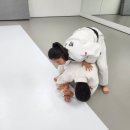 계룡유도관 이미지