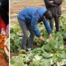삼숭고등학교 이미지