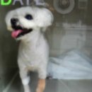 분당파크뷰동물병원 이미지