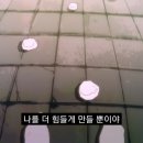 음율＜'바람잡이' MV 감상후기＞ 이벤트 참여 이미지