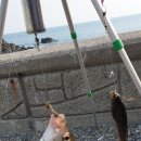 화암경로당 이미지