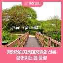 경안천습지생태공원 | 경안천습지생태공원 신록 짙어져가는 봄 풍경