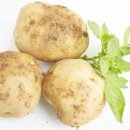 더숲필라테스 이미지