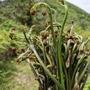 금당목장 이미지