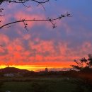 청산농장2 이미지