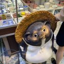 보물섬약국 이미지