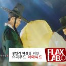 그린플랙스 네이버블로그