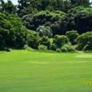 남원파크골프장 | 서귀포시 남원 골프장 예약 후기 제주 샤인빌cc