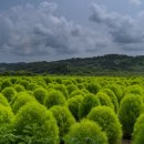 삼곶리 주민쉼터 이미지