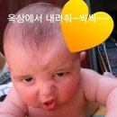 안느