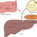 바디메이트 짐 이미지