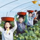 경석농장 이미지