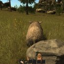 러스트(Rust)