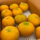 주심건축사사무소 이미지