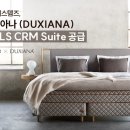 퀸텟