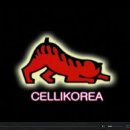 한국첼리 이미지