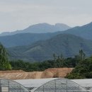 대길농장 이미지