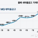 [단독] 새마을금고만 대출규제 '열외' '풍선효과' 이유 있었다. 이미지