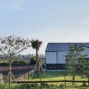 신도리-5 이미지