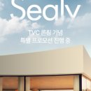 셀리광고