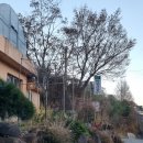 학동산장 이미지