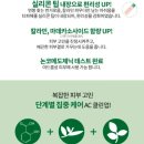 핑크파우더