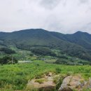 경북 예천군 학가산자락 2,595m2 청정지역 토지 이미지