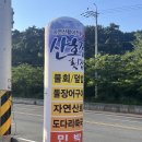 진해 명동 물회 맛집 / 산호정민박횟집 내돈내산 후기 (메뉴, 주차)