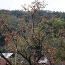 시골정취 이미지